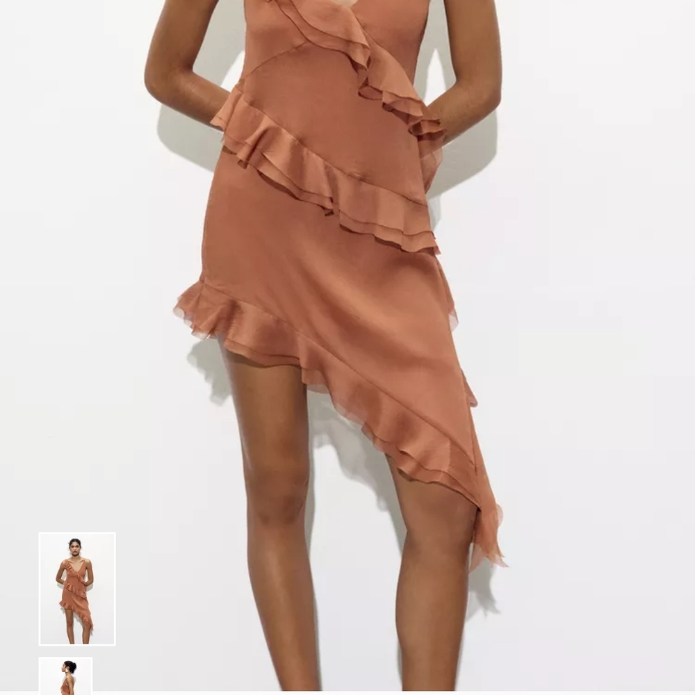 Zara Ruffled Mini Dress in Brown - Picture 8 of 14